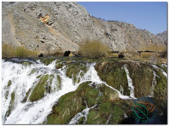 Naturpark Velebit 16